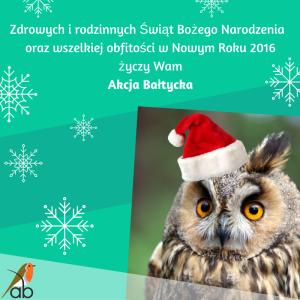 Copy of Zdrowych i pogodnych Świąt Bożego Narodzenia oraz wszelkie obfitości w Nowym Roku 2016 życzy Fundacja Akcja Bałtycka
