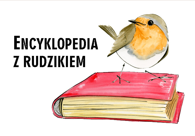 Akcja Ba tycka Encyklopedia Z Rudzikiem