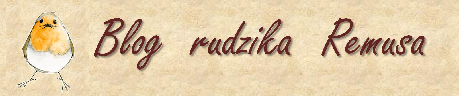 Akcja Ba tycka BlogRudzikaRemusa